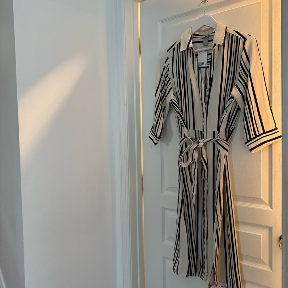 H&M Black and White Striped Dress